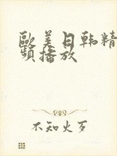 欧美日韩精品视频播放