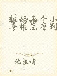 离婚两个小孩抚养权怎么判封面