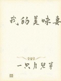 我的美味妻子