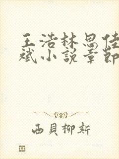 王浩林思佳陈宏斌小说章节目录