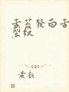 舌苔发白舌根有裂纹封面