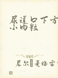 尿道口下方有个小肉粒