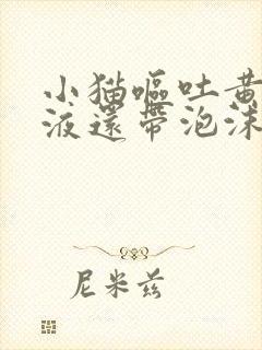 小猫呕吐黄色粘液还带泡沫不吃东西