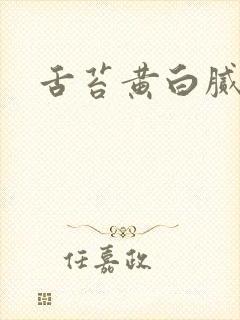 舌苔黄白腻齿痕