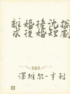 离婚后沈总天天求复婚短剧免费观看