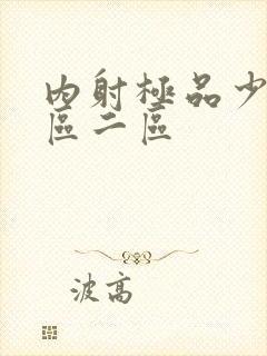 内射极品少妇一区二区封面