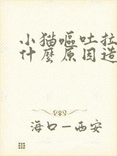 小猫呕吐拉稀是什么原因造成的