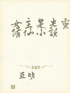 女主是光灵根的修仙小说封面