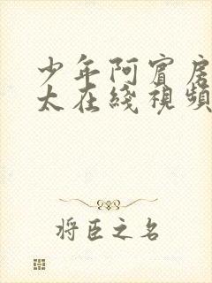 少年阿宾房东太太在线视频封面