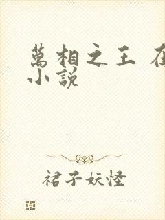 万相之王 在线小说