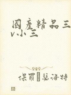 国产精品三级av小三