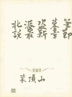 北派盗墓笔记小说最新章节在线