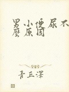 男小便尿不尽什么原因