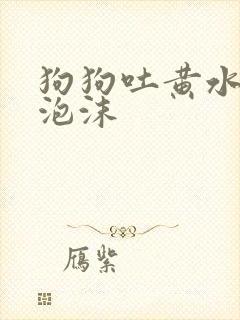 狗狗吐黄水,带泡沫封面