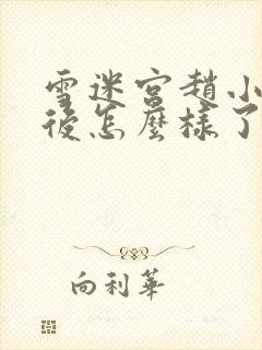 雪迷宫赵小光最后怎么样了封面