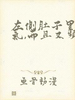 左侧肚子里有胀气,而且又频繁放屁封面