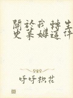 关于我转生成为史莱姆这件事小说