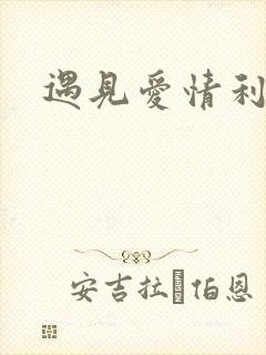 遇见爱情利先生