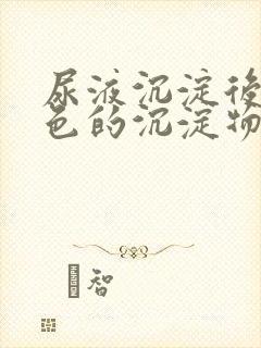 尿液沉淀后有白色的沉淀物