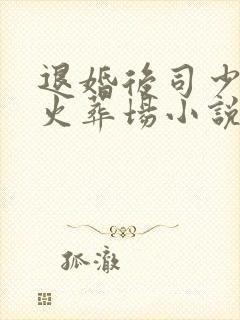 退婚后司少追妻火葬场小说无弹窗封面