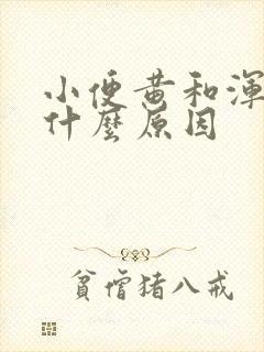 小便黄和浑浊是什么原因