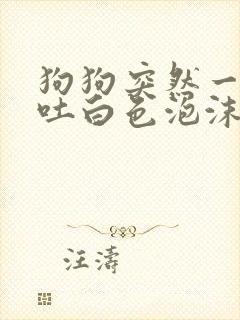 狗狗突然一直呕吐白色泡沫