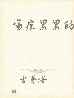 伤痕累累的勋章