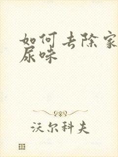 如何去除家里狗尿味