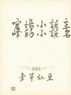 官场小说主角秦峰的小说名字