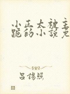 小正太被主人罚跪的小说免费阅读