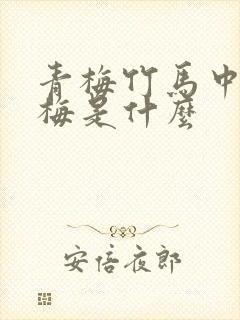 青梅竹马中的青梅是什么封面