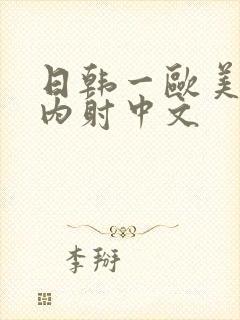 日韩一欧美p片内射中文