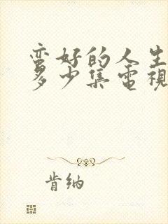 蛮好的人生一共多少集电视剧