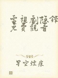 电视剧隐锋全集免费观看封面