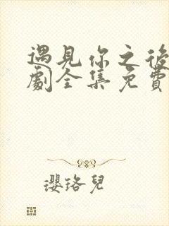 遇见你之后电视剧全集免费观看