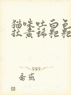 猫咪吐白色泡沫拉黄稀粑粑