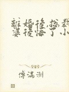 离婚后,总裁老婆后悔了小说封面