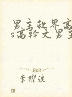 男主政界高官vs高干文男主封面