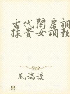 古代闺房调教h揉贵女调教记封面