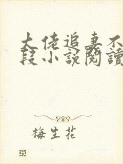 大佬追妻不择手段小说阅读封面