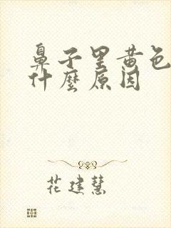 鼻子里黄色鼻涕什么原因