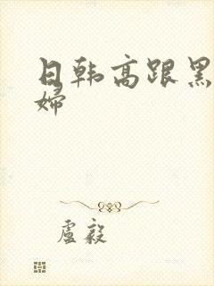 日韩高跟黑丝少妇