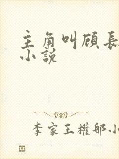 主角叫顾长青的小说封面