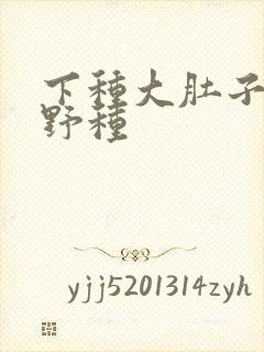 下种大肚子怀孕野种