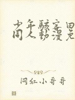 少年骇客田小玟同人动漫免费封面