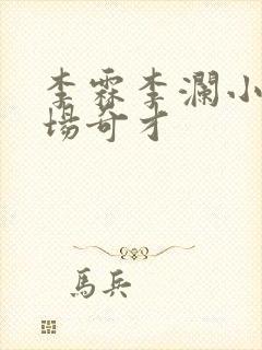 李霖李澜小说官场奇才封面