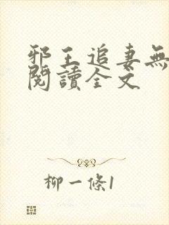 邪王追妻无删减阅读全文