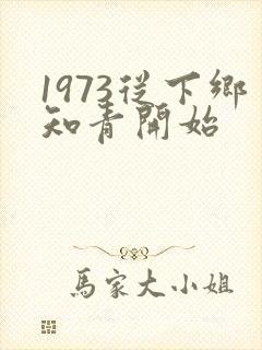 1973从下乡知青开始