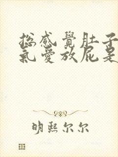 总感觉肚子里有气爱放屁是怎么回事封面