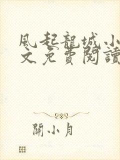 风起龙城小说全文免费阅读完整版
